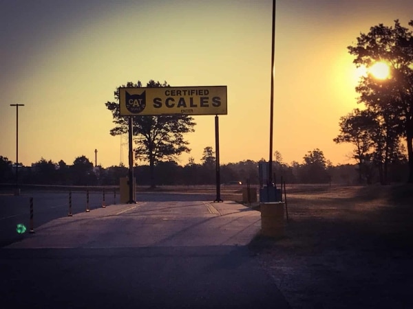 Charlie's Country Corner Cat Scales Charlie's Country Corner Cat Scales